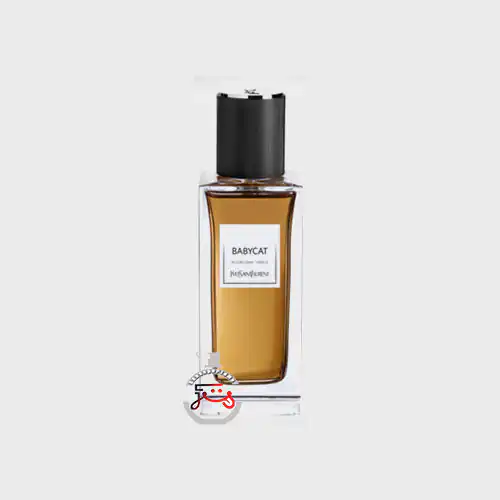 عطر ادکلن ایو سن لورن بیبی کت